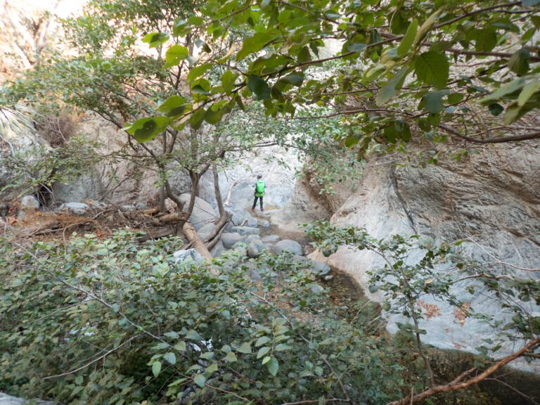 A person wearing a green backpack and helmet stands on rocky terrain in a narrow canyon surrounded by green leafy trees and bushes. The rocky canyon walls rise on either side, with a small stream flowing through the rocks. The scene is natural and serene, capturing the outdoor adventure of canyoneering in Eaton Canyon.