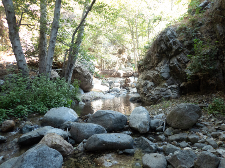 A natural creek in Eaton Canyon with clear water flowing over rocks and boulders, flanked by green leafy trees and rocky cliffs under bright sunlight.
