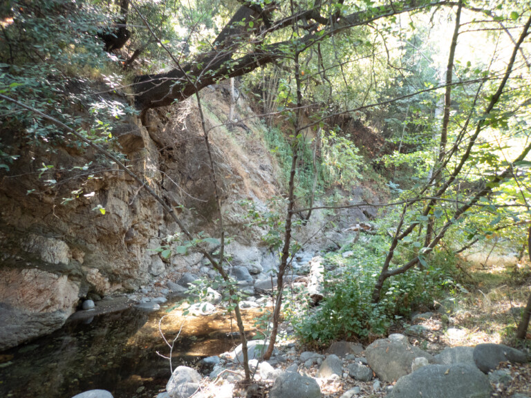 A rocky creek flowing through Eaton Canyon with clear water reflecting sunlight, surrounded by dense green trees and steep rocky canyon walls under bright daylight.