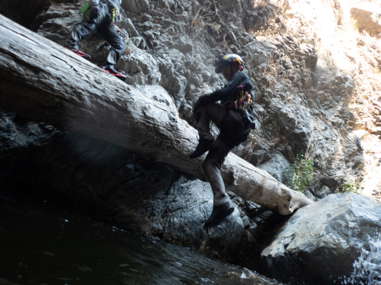 Two people wearing helmets and climbing gear are canyoneering in Eaton Canyon. One person is climbing over a large fallen tree trunk spanning a rocky canyon wall above a pool of water, while the other is positioned higher on the rocks. The scene is set in a rugged, rocky canyon with natural light illuminating the area.