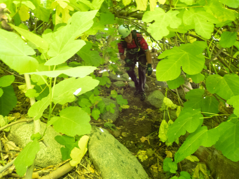 A person dressed in outdoor gear including a helmet and gloves is seen moving carefully through thick green leaves and branches in a forested area with rocks on the ground, indicating a canyoneering activity in Eaton Canyon.